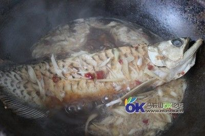 馬鞍山龍魚vs祥龍魚場（馬鞍山龍魚市場與祥龍魚場各有優勢） 馬鞍山龍魚vs祥龍魚場（馬鞍山龍魚市場與祥龍魚場各有優勢） 全國水族館企業名錄 第4張