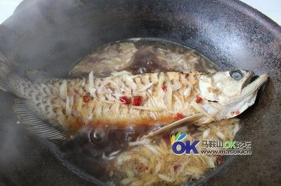 馬鞍山龍魚vs祥龍魚場（馬鞍山龍魚市場與祥龍魚場各有優勢） 馬鞍山龍魚vs祥龍魚場（馬鞍山龍魚市場與祥龍魚場各有優勢） 全國水族館企業名錄 第6張