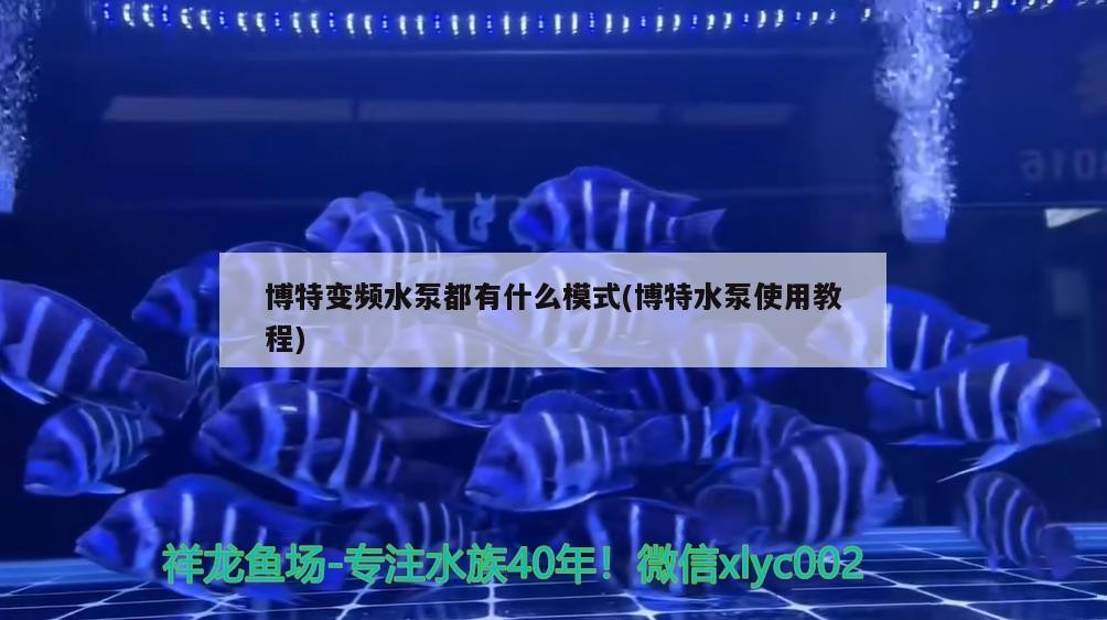 博特變頻水泵都有什么模式(博特水泵使用教程)