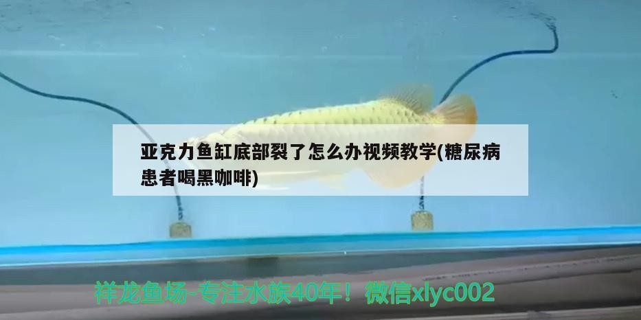 亞克力魚缸底部裂了怎么辦視頻教學(糖尿病患者喝黑咖啡)