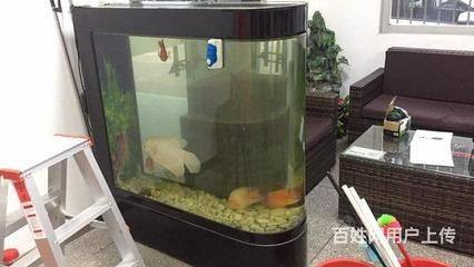 嘟力魚缸怎么樣：嘟力魚缸養(yǎng)護(hù)技巧，嘟力魚缸的質(zhì)量和服務(wù)可以從多方面了解