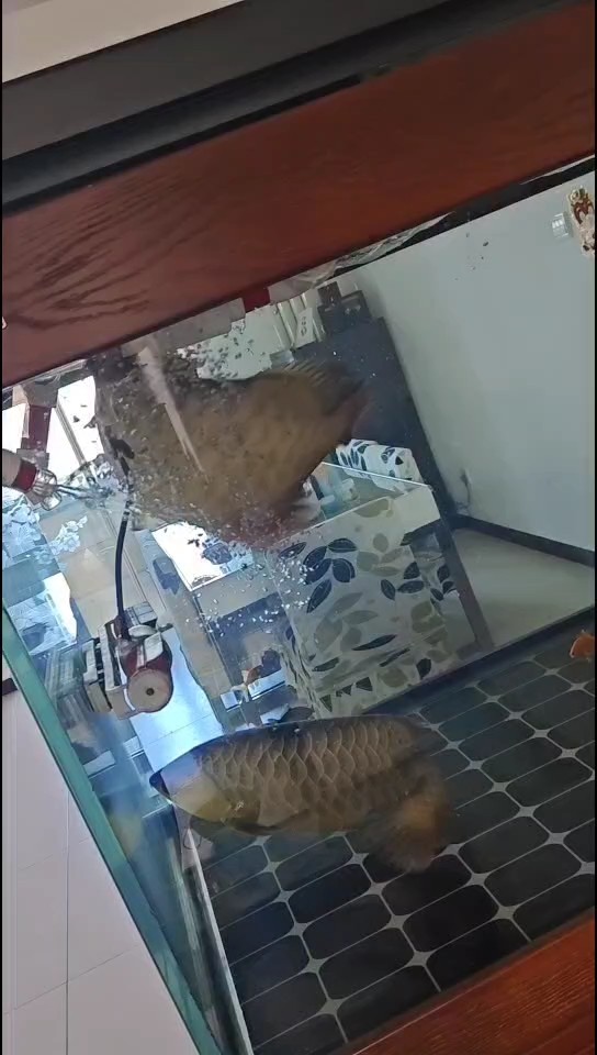 什么病