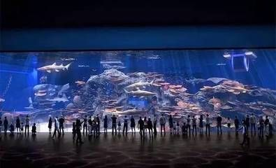 成都水族館vs祥龍魚場（成都水族館與祥龍魚場各有側重）