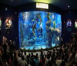 成都水族館vs祥龍魚場（成都水族館與祥龍魚場各有側重）