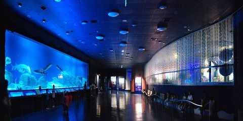 阿克蘇水族館vs祥龍魚場（中國新疆阿克蘇水族館阿克蘇水族館和祥龍魚場的選擇）