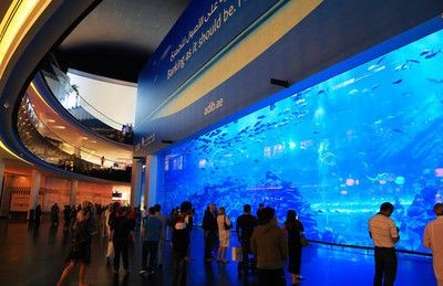 阿克蘇水族館vs祥龍魚場（中國新疆阿克蘇水族館阿克蘇水族館和祥龍魚場的選擇）