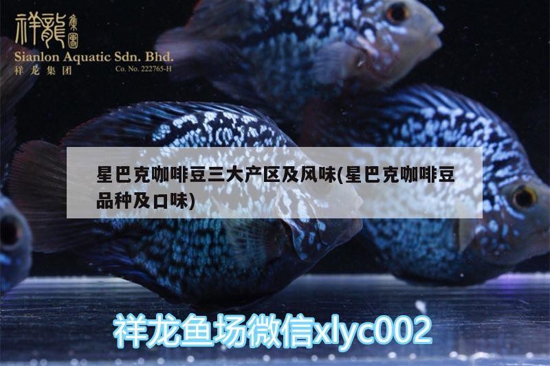 星巴克咖啡豆三大產區及風味(星巴克咖啡豆品種及口味)