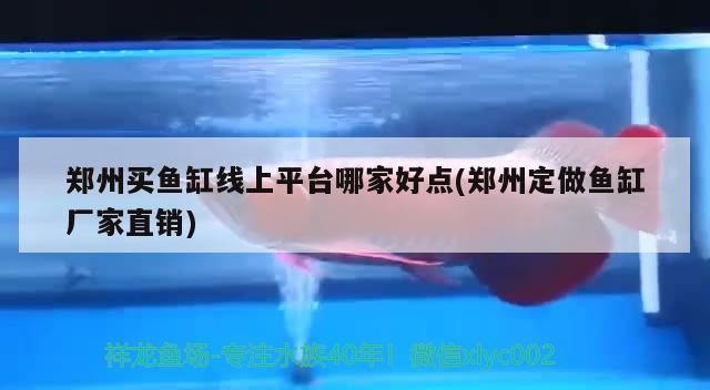 鄭州買魚缸線上平臺哪家好點(鄭州定做魚缸廠家直銷) 鄭州買魚缸線上平臺哪家好點(鄭州定做魚缸廠家直銷) 金龍魚百科