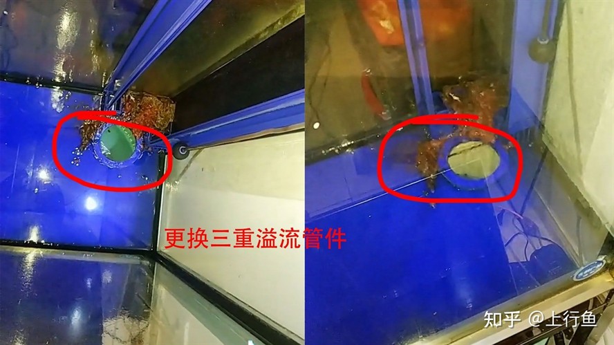 森森魚缸不吸魚糞便怎么回事