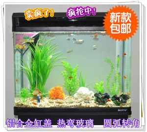 80cm的魚缸用多大瓦的燈：選擇魚缸燈的瓦數(shù)需要考慮多個(gè)因素