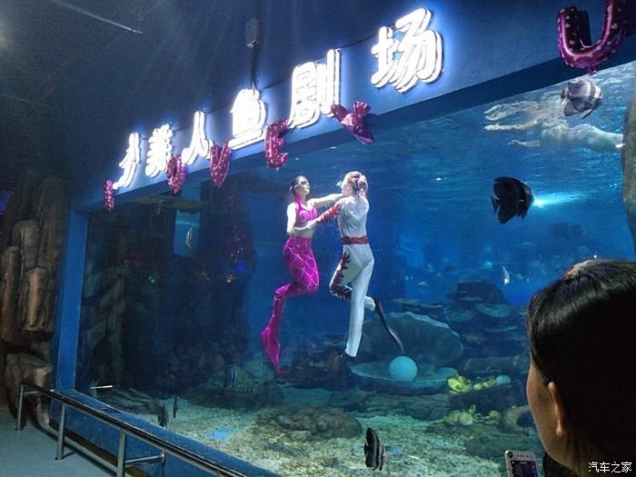 臨沂水族館vs祥龍魚場（臨沂水族館與祥龍魚場各有側重）