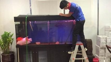 大型魚缸都是怎么換水的：大型魚缸換水的步驟