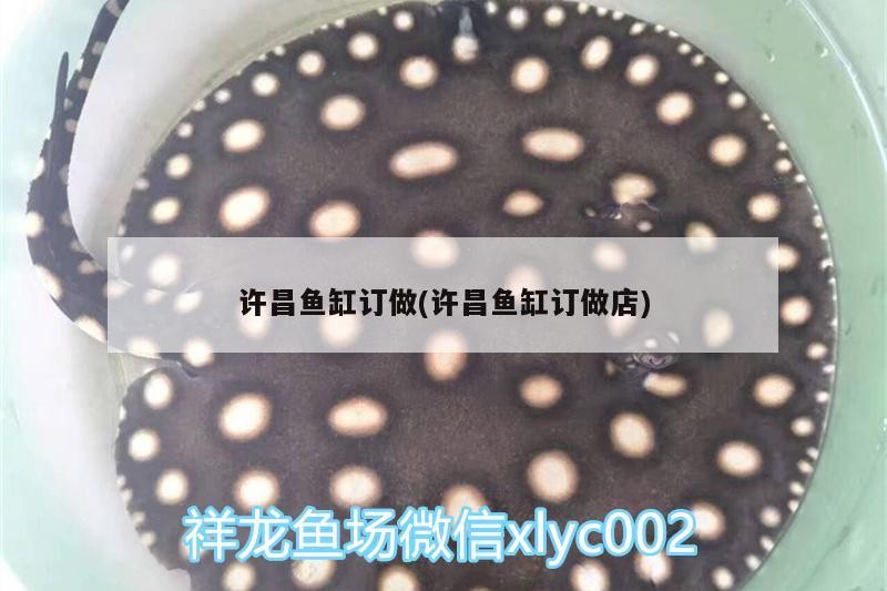 許昌魚缸訂做(許昌魚缸訂做店)