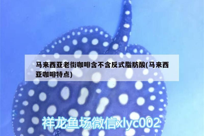 中國龍魚協(xié)會是干嘛的【中國龍魚協(xié)會為會員提供哪些服務和支持，推動龍魚養(yǎng)殖業(yè)發(fā)展】