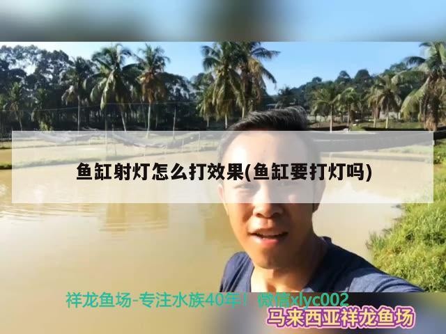 魚缸射燈怎么打效果(魚缸要打燈嗎)