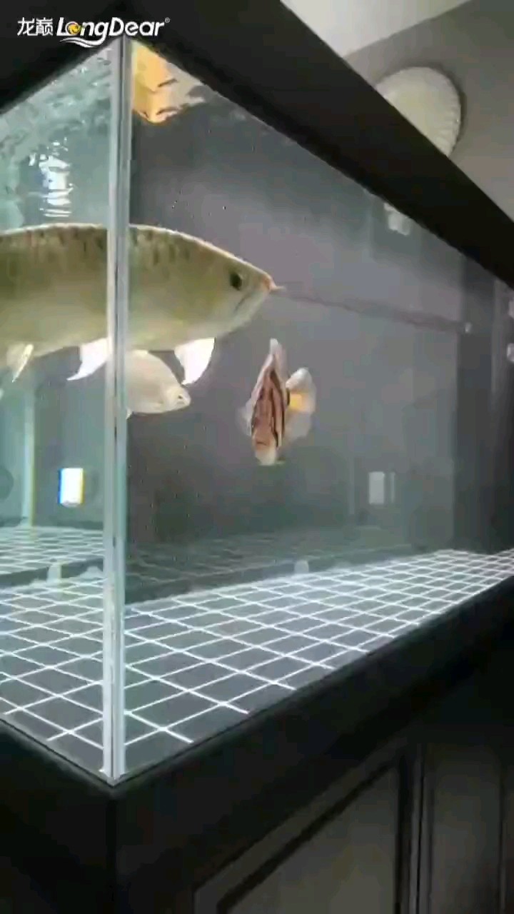轉發520