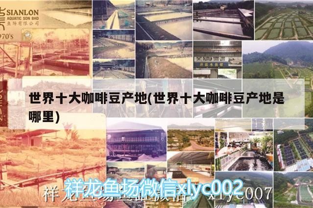 世界十大咖啡豆產(chǎn)地(世界十大咖啡豆產(chǎn)地是哪里)