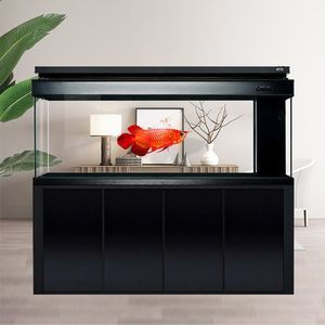 咖啡瓶觀賞魚（咖啡瓶觀賞魚怎么養）