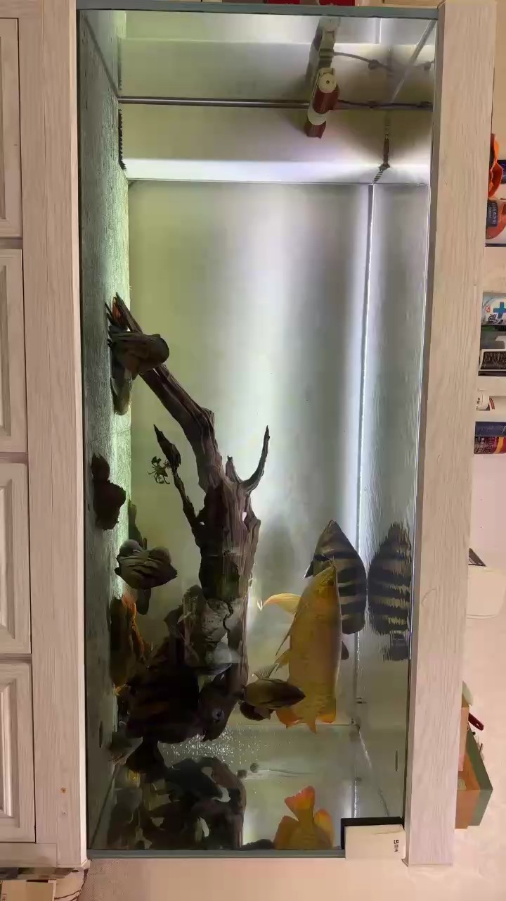 40+