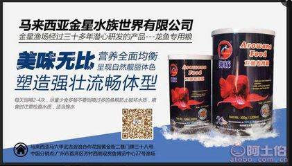 紅龍魚哪里買的到:如何購買紅龍魚 紅龍魚百科 第4張 紅龍魚哪里買的到:如何購買紅龍魚 紅龍魚哪里買的到:如何購買紅龍魚 紅龍魚百科 第4張