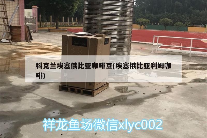科克蘭埃塞俄比亞咖啡豆(埃塞俄比亞利姆咖啡)