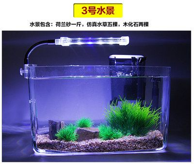 大圓魚缸適合養水培植物：大圓魚缸適合養什么水培植物？