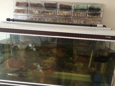 1米2的魚(yú)缸需要多大的下濾盒：1米2的魚(yú)缸需要多大的下濾盒，從以下方面進(jìn)行考慮