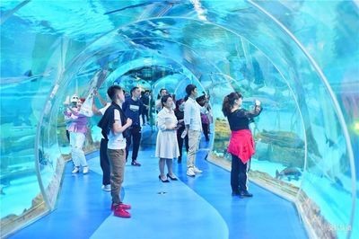 臨滄水族館vs祥龍魚場（臨滄水族館與祥龍魚場的區別）