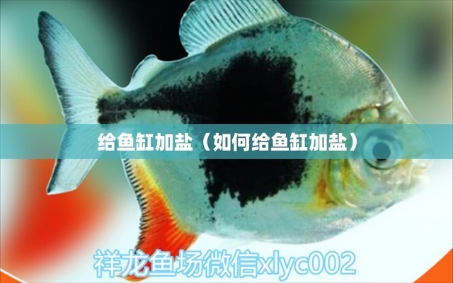 魚缸裂了是不是一定會爆缸