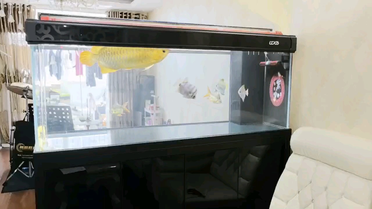 還沒開口