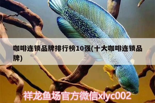咖啡連鎖品牌排行榜10強(qiáng)(十大咖啡連鎖品牌) 咖啡連鎖品牌排行榜10強(qiáng)(十大咖啡連鎖品牌) 馬來西亞咖啡