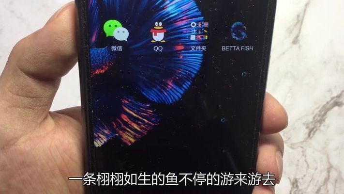 虎魚手機壁紙：關于虎魚手機壁紙的一些信息
