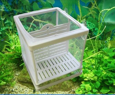 超大玻璃魚缸養昆蟲鉆孔：超大玻璃魚缸上鉆孔安裝設備需要謹慎操作超大玻璃魚缸