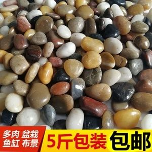 鵝卵石魚缸布景：如何diy鵝卵石魚缸布景？