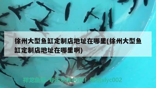 <strong><mark>徐州</mark></strong>大型魚缸定制店地址在哪里(<strong><mark>徐州</mark></strong>大型魚缸定制店地址在哪里啊)