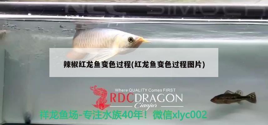 安順魚缸定制電話多少啊多少錢（安順水族館）