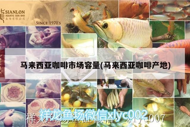 馬來西亞咖啡市場容量(馬來西亞咖啡產地)