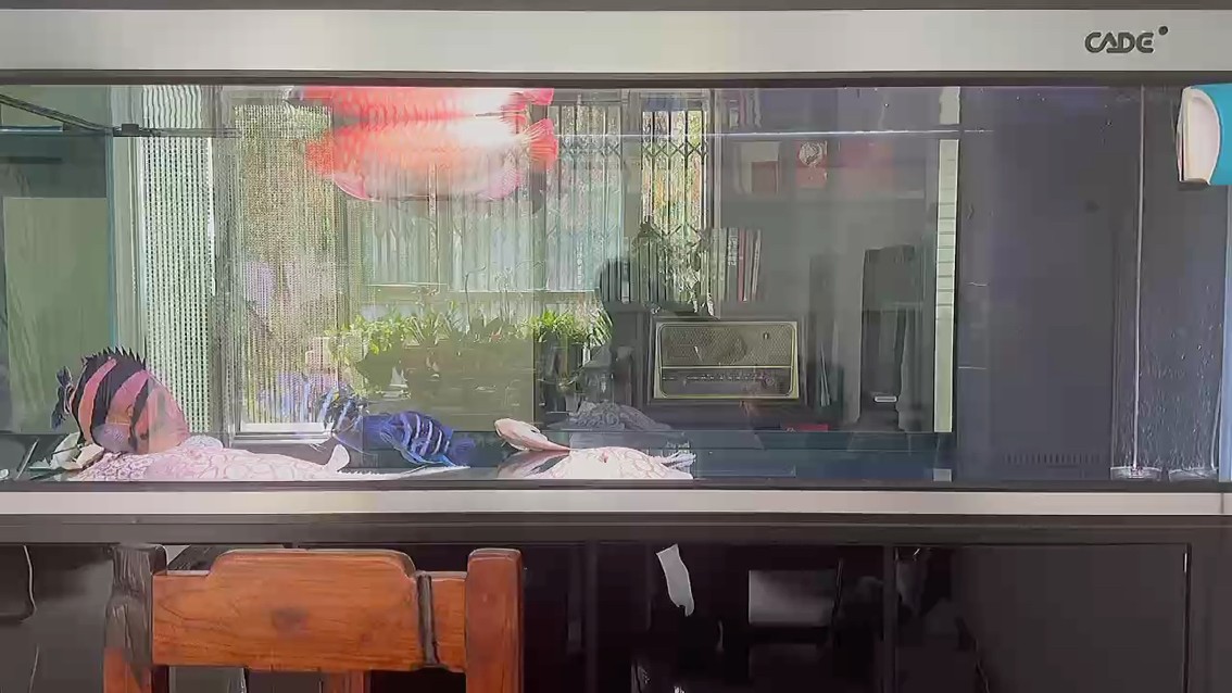 嘖嘖嘖
