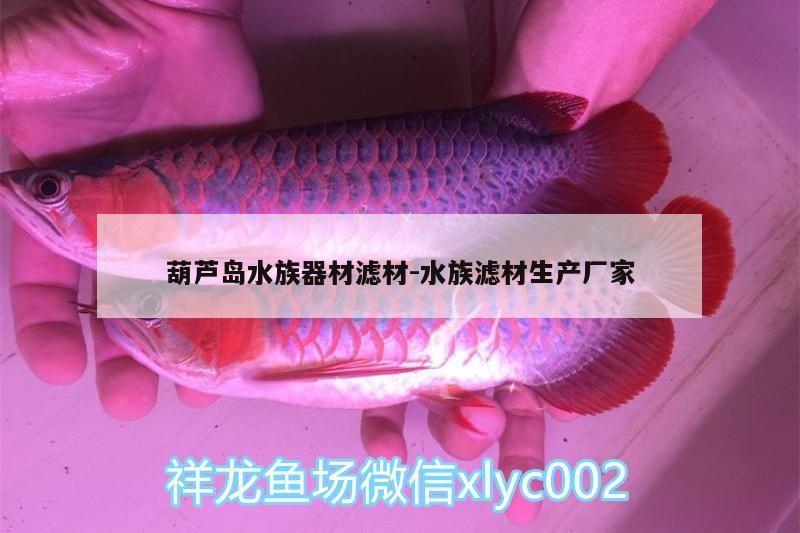 葫蘆島水族器材濾材:水族濾材生產廠家