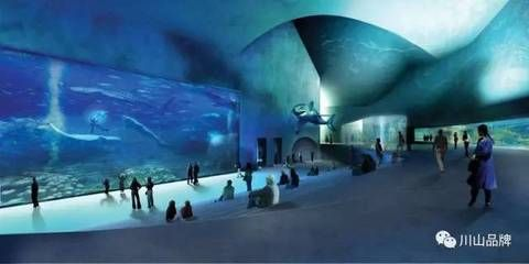 慶陽水族館vs祥龍魚場（慶陽水族館與祥龍魚場的區別）