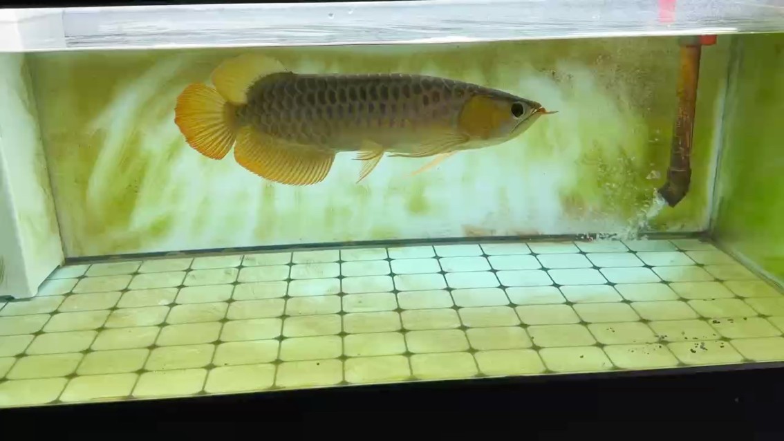 很舒展