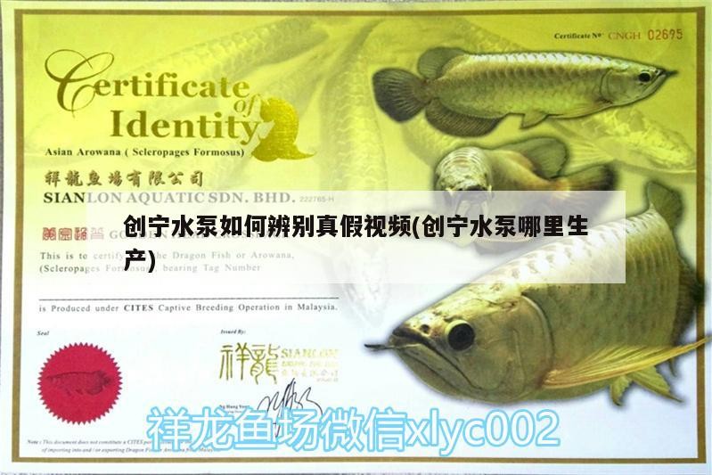 創寧水泵如何辨別真假視頻(創寧水泵哪里生產)