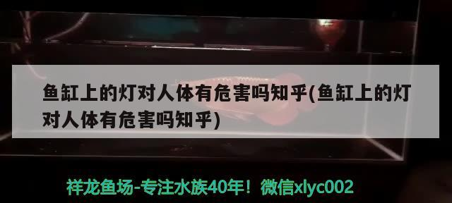 魚缸上的燈對人體有危害嗎知乎(魚缸上的燈對人體有危害嗎知乎)