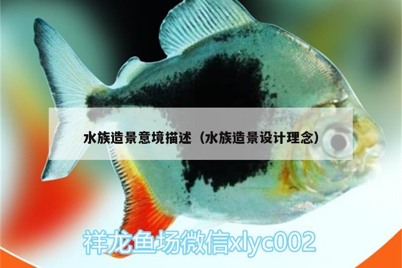 水族造景意境描述（水族造景設計理念）