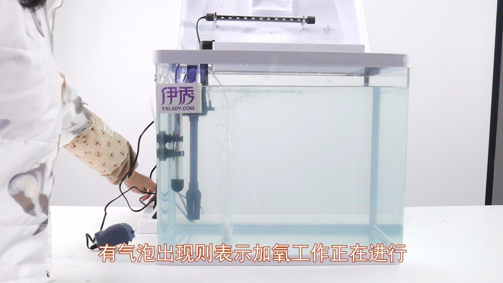 不用充氧泵怎樣給魚缸加氧：在沒有充氧泵的情況下，仍然可以通過多種方法給魚缸增加氧氣