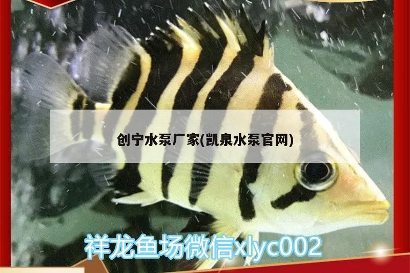 創(chuàng)寧水泵廠家(凱泉水泵官網(wǎng)) 創(chuàng)寧水泵廠家(凱泉水泵官網(wǎng)) 創(chuàng)寧水族