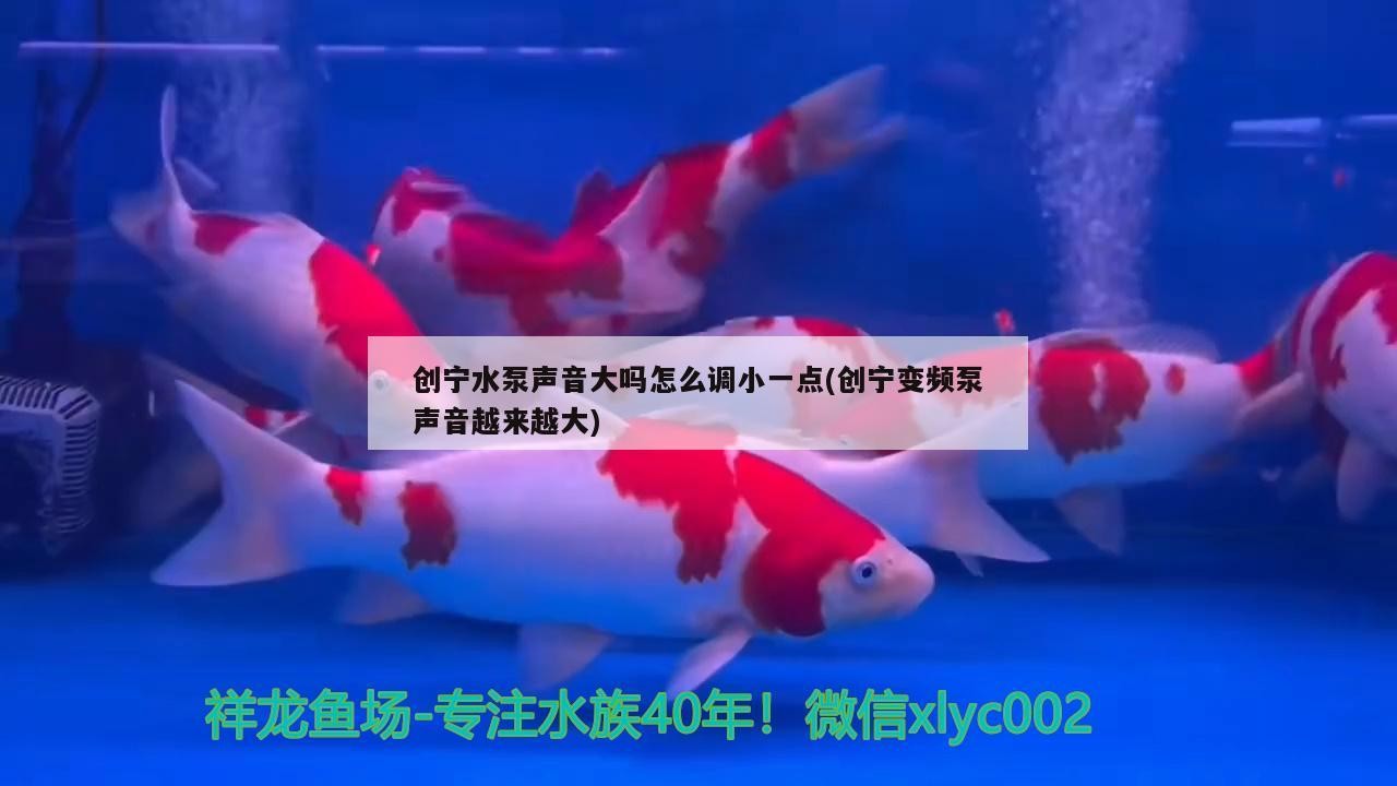 創(chuàng)寧水泵聲音大嗎怎么調(diào)小一點(diǎn)(創(chuàng)寧變頻泵聲音越來(lái)越大)