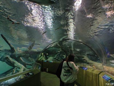 上海水族館vs祥龍魚場（上海水族館和祥龍魚場各有特色）