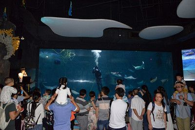 上海水族館vs祥龍魚場（上海水族館和祥龍魚場各有特色）