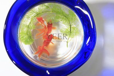 魚缸增氧泵要一直開(kāi)嗎多少錢(養(yǎng)觀賞魚增氧泵一天開(kāi)多久)